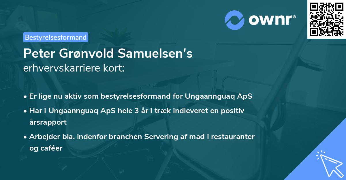 Peter Grønvold Samuelsen's erhvervskarriere kort