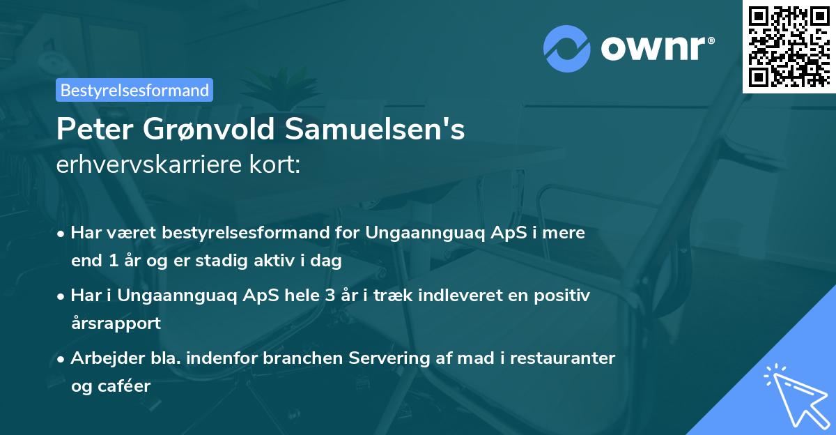 Peter Grønvold Samuelsen's erhvervskarriere kort