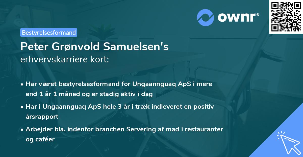 Peter Grønvold Samuelsen's erhvervskarriere kort