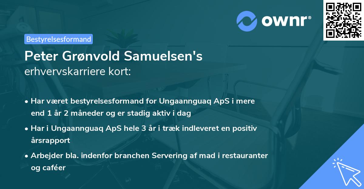Peter Grønvold Samuelsen's erhvervskarriere kort