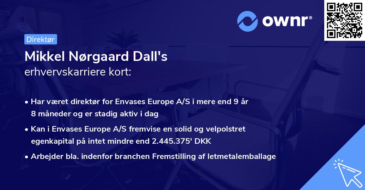 Mikkel Nørgaard Dall's erhvervskarriere kort