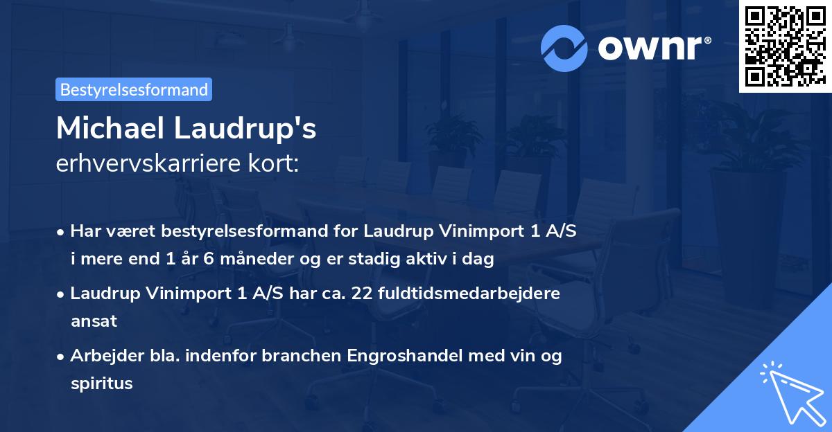 Michael Laudrup's erhvervskarriere kort