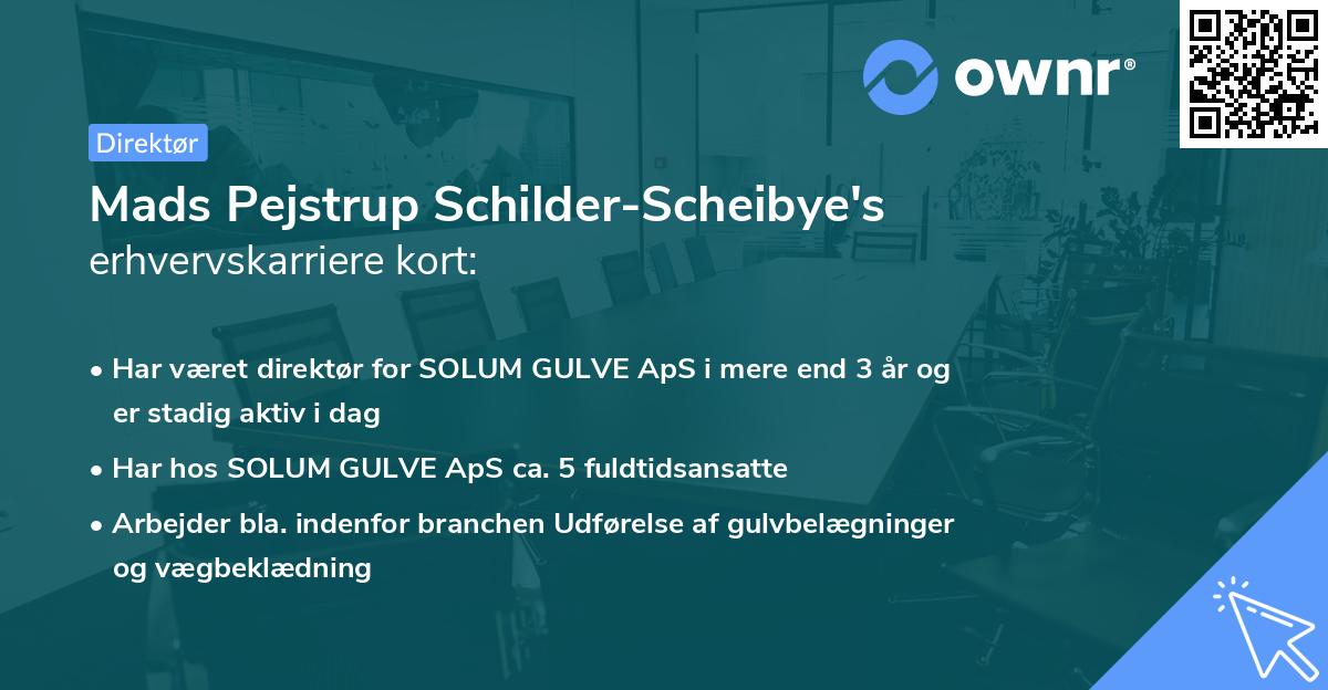 Mads Pejstrup Schilder-Scheibye's erhvervskarriere kort