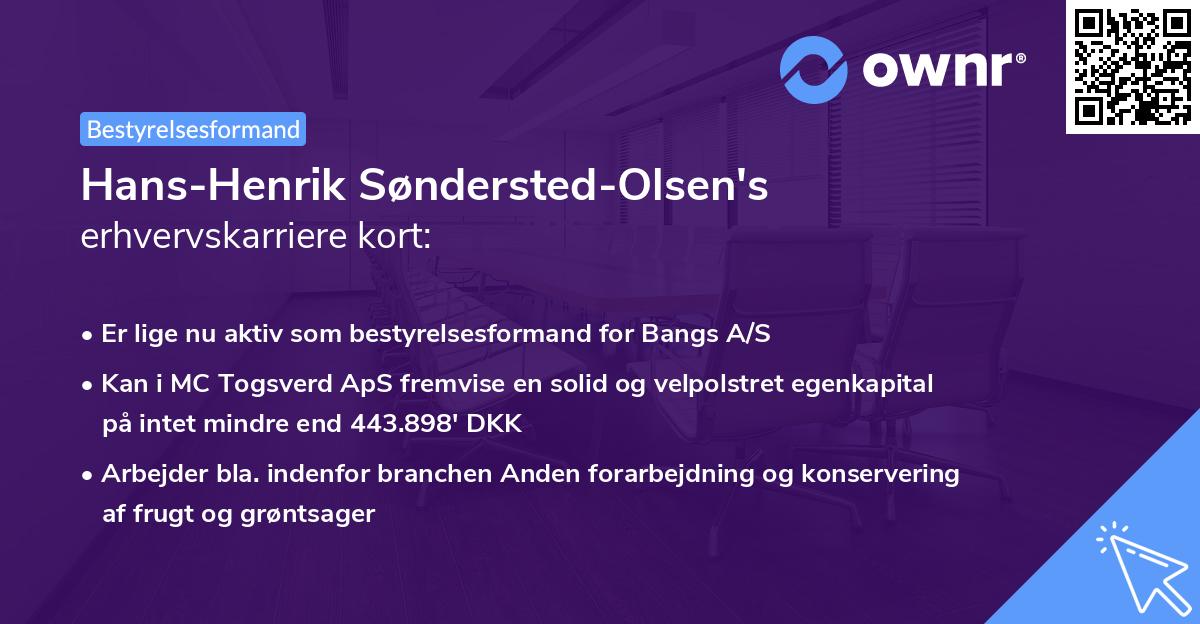 Hans-Henrik Søndersted-Olsen's erhvervskarriere kort