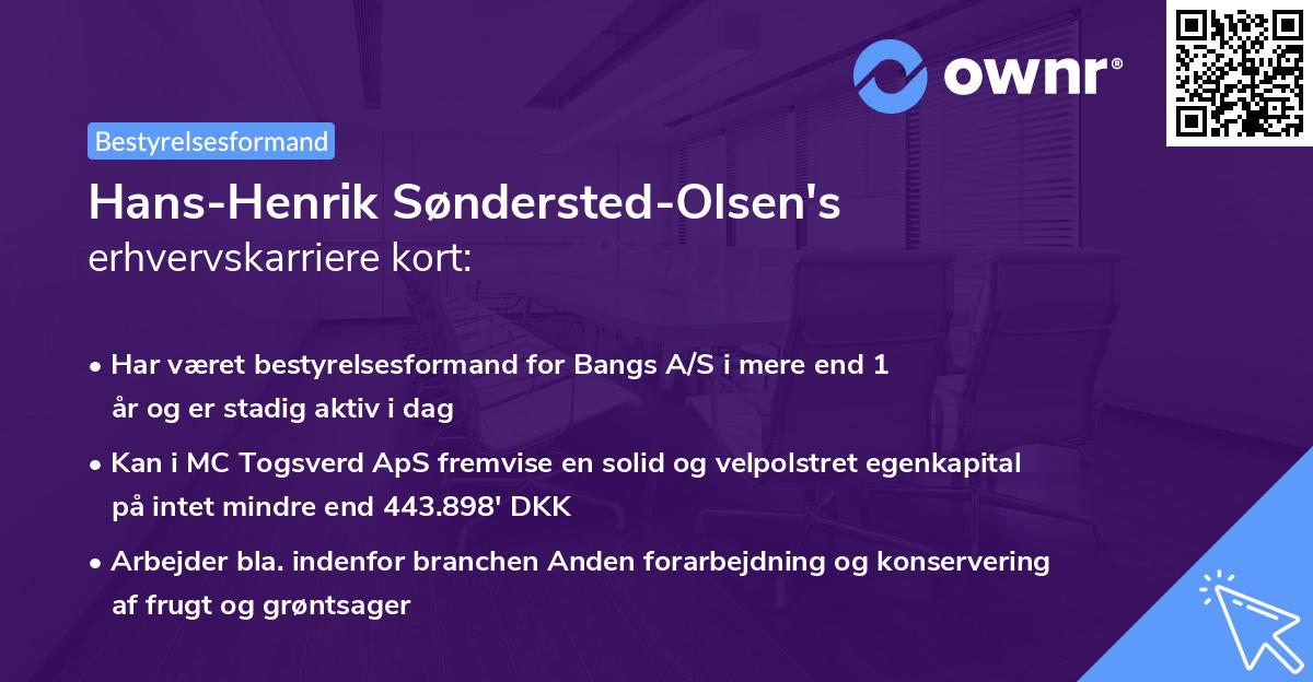 Hans-Henrik Søndersted-Olsen's erhvervskarriere kort