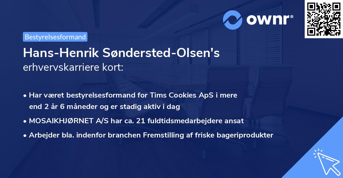 Hans-Henrik Søndersted-Olsen's erhvervskarriere kort