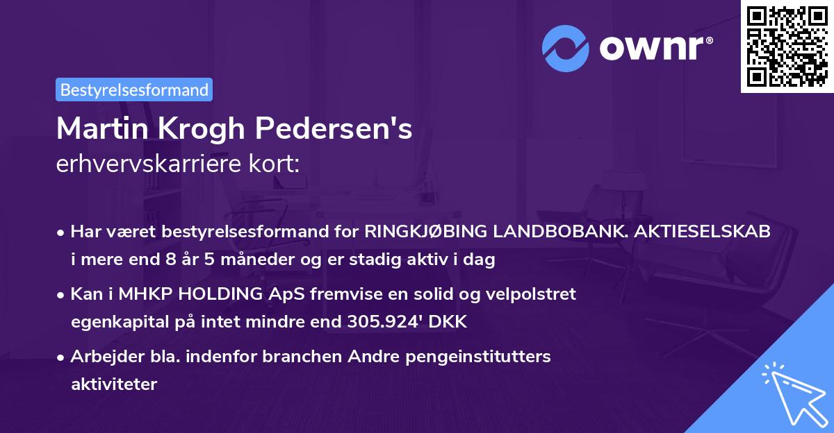 Martin Krogh Pedersen's erhvervskarriere kort