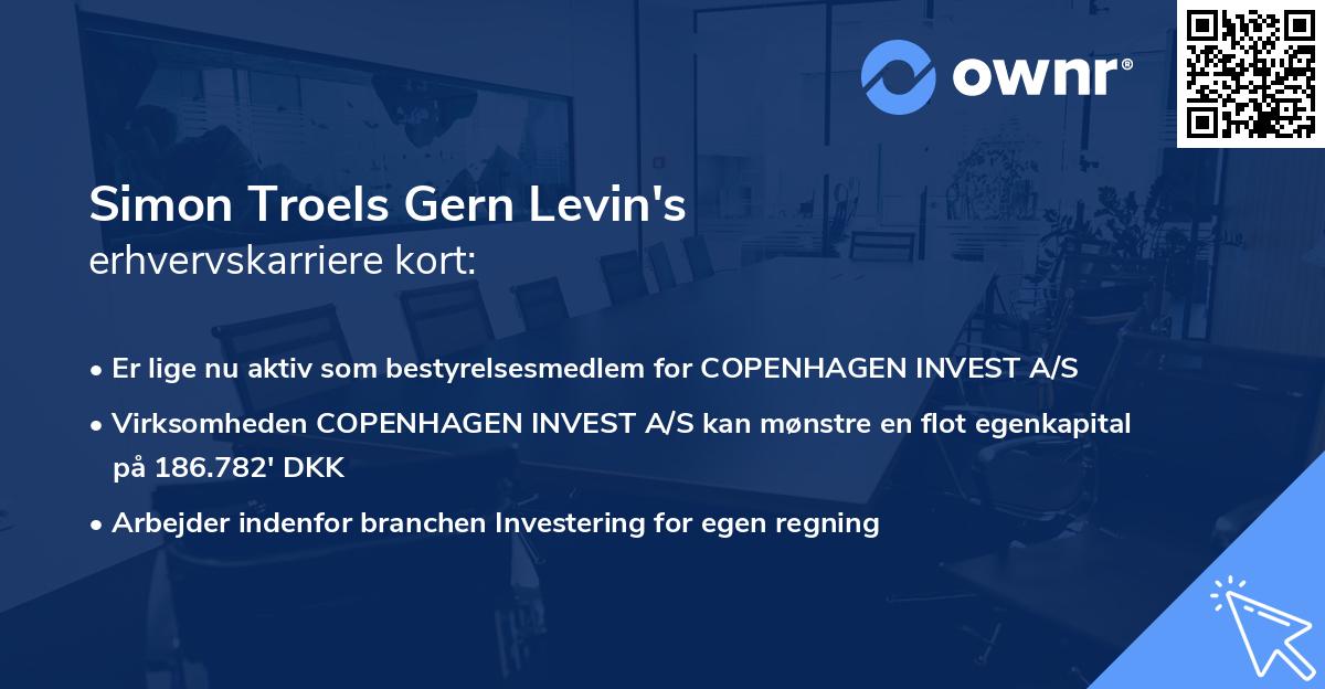Simon Troels Gern Levin's erhvervskarriere kort