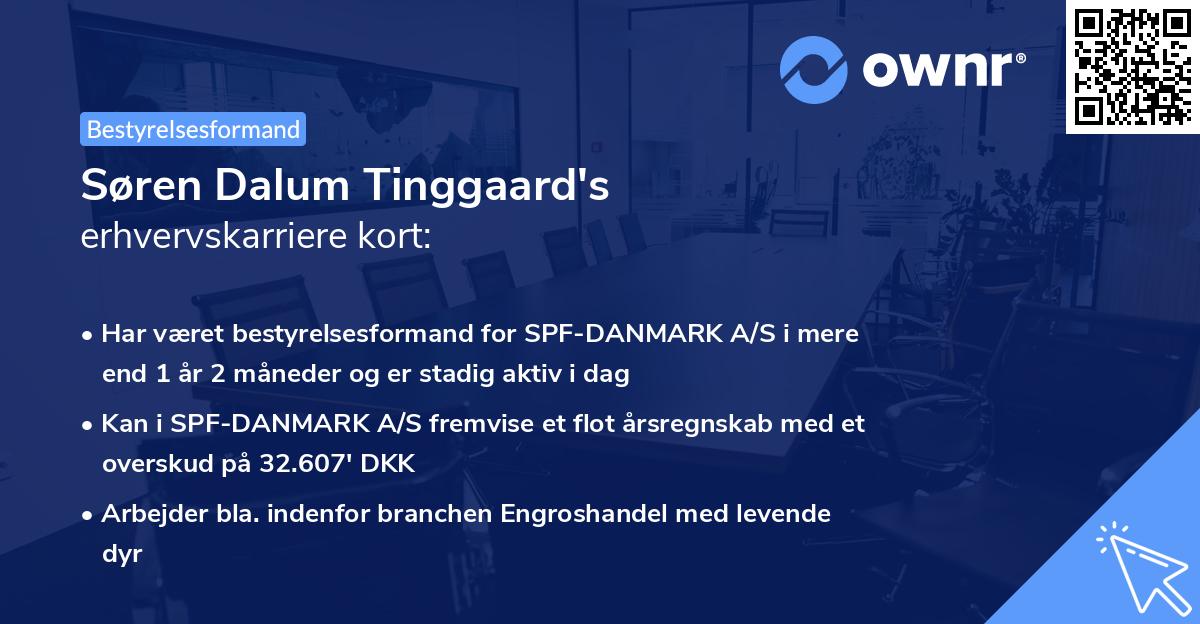 Søren Dalum Tinggaard's erhvervskarriere kort