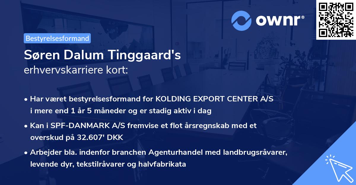 Søren Dalum Tinggaard's erhvervskarriere kort