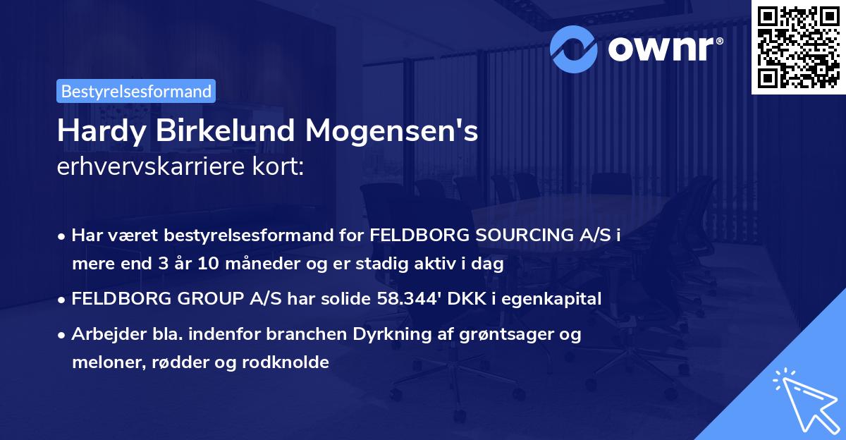 Hardy Birkelund Mogensen's erhvervskarriere kort