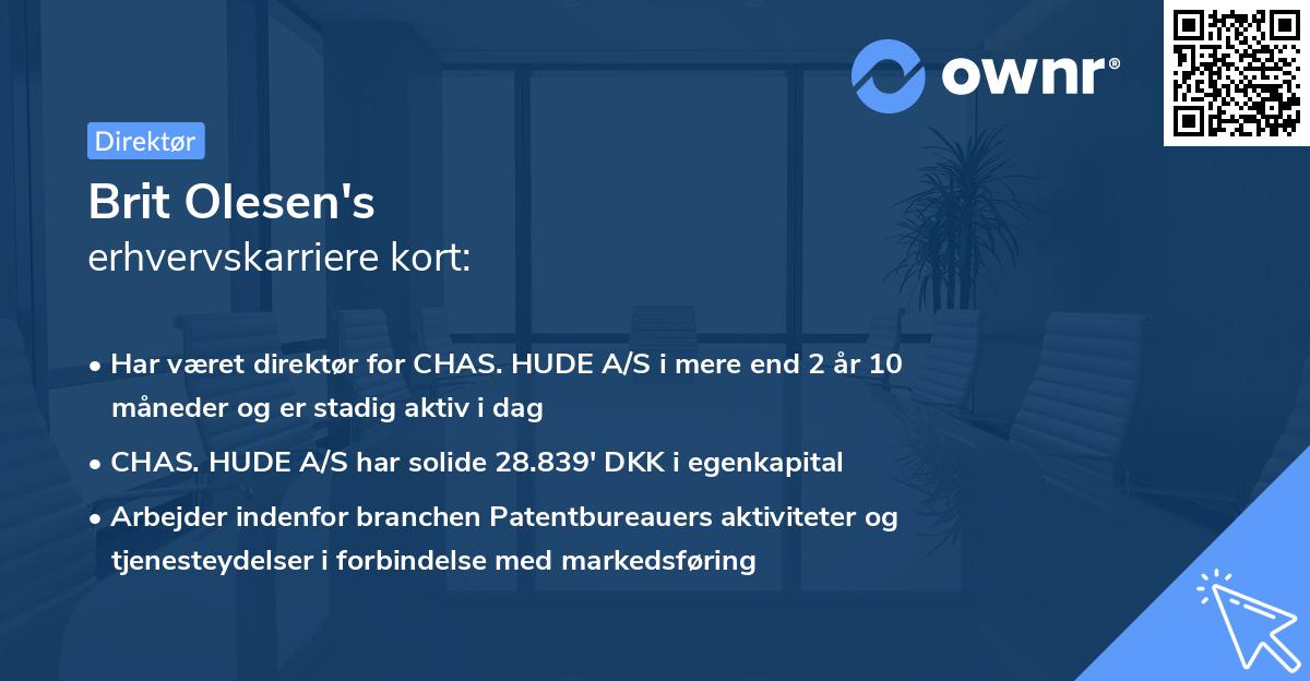 Brit Olesen's erhvervskarriere kort