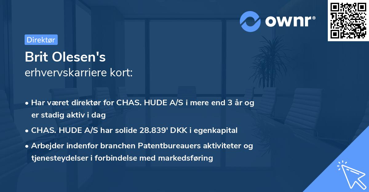 Brit Olesen's erhvervskarriere kort