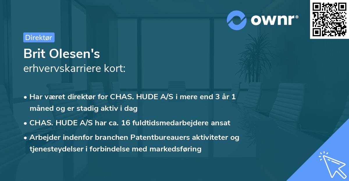 Brit Olesen's erhvervskarriere kort