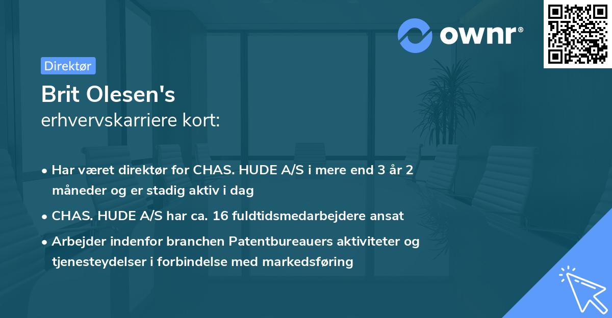 Brit Olesen's erhvervskarriere kort