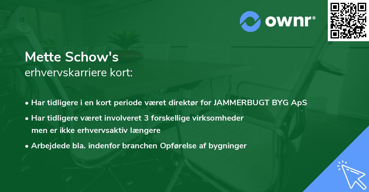 Mette Schow's erhvervskarriere kort