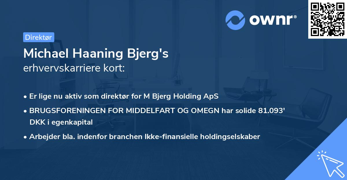 Michael Haaning Bjerg's erhvervskarriere kort
