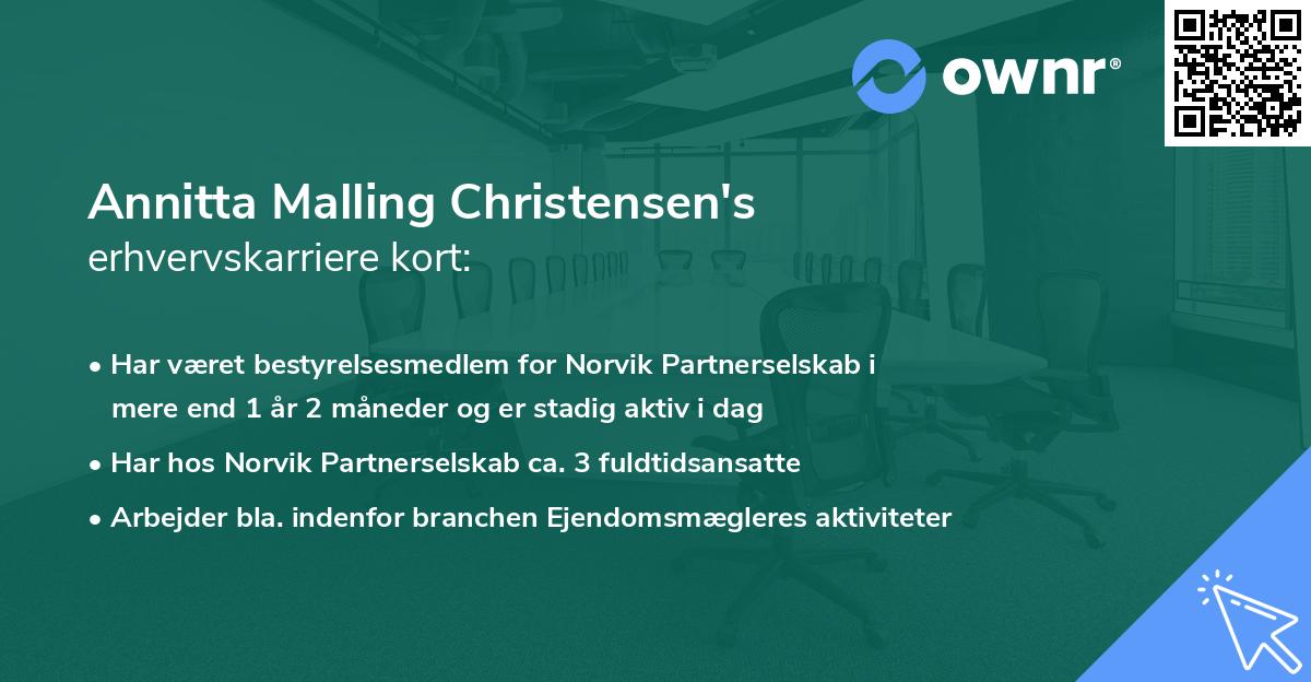 Annitta Malling Christensen's erhvervskarriere kort