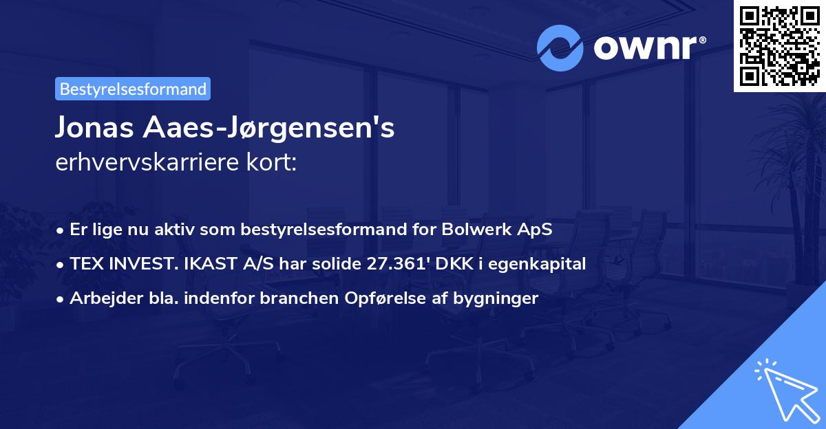 Jonas Aaes-Jørgensen's erhvervskarriere kort