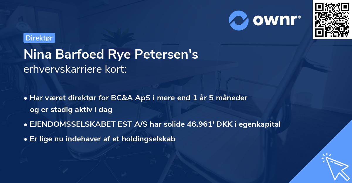 Nina Barfoed Rye Petersen's erhvervskarriere kort