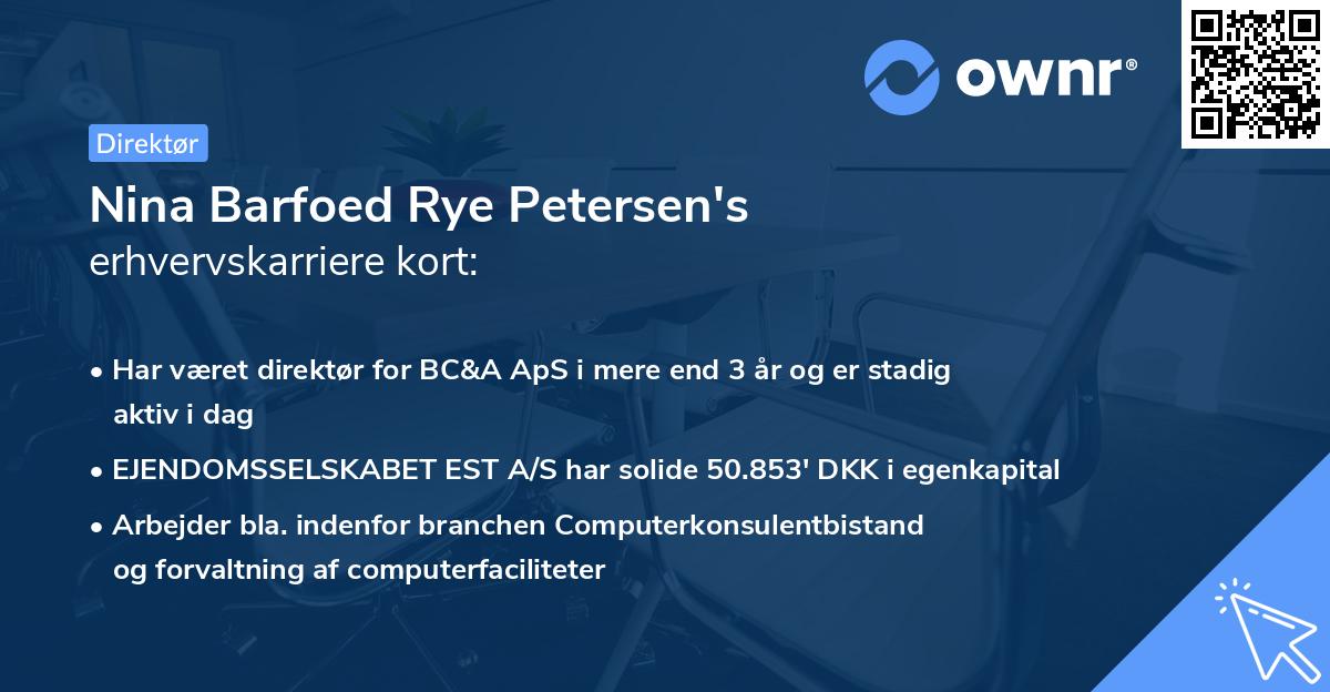 Nina Barfoed Rye Petersen's erhvervskarriere kort