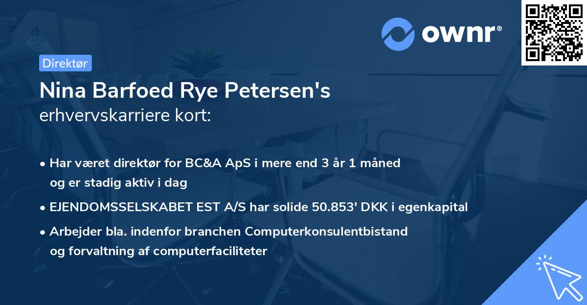 Nina Barfoed Rye Petersen's erhvervskarriere kort