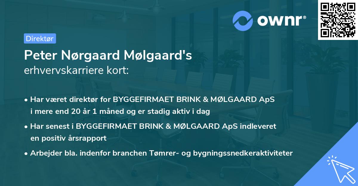 Peter Nørgaard Mølgaard's erhvervskarriere kort