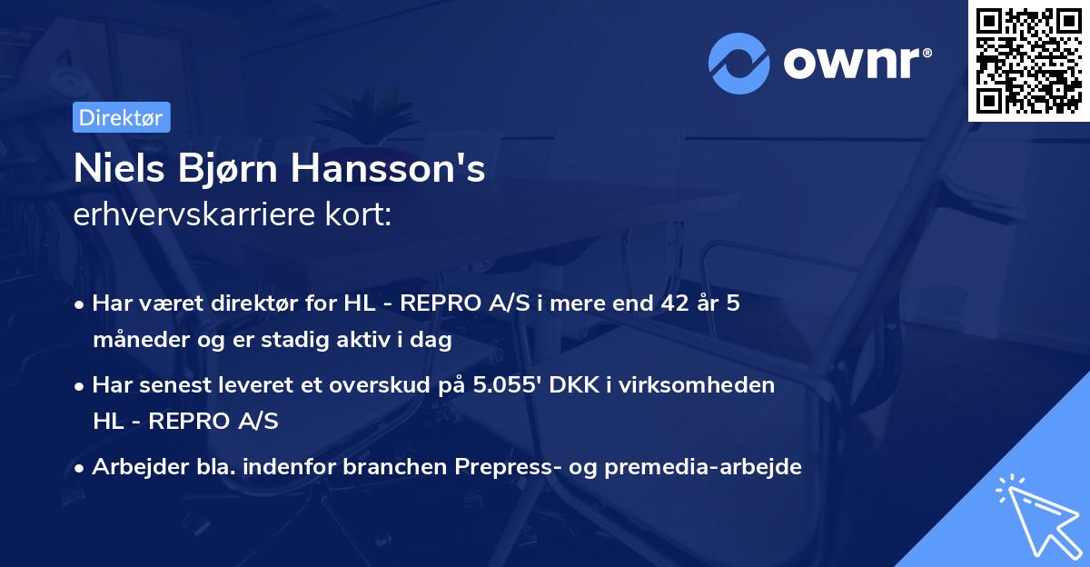 Niels Bjørn Hansson's erhvervskarriere kort