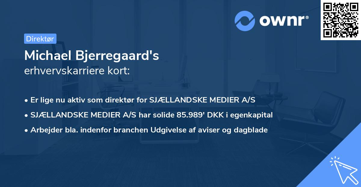 Michael Bjerregaard's erhvervskarriere kort
