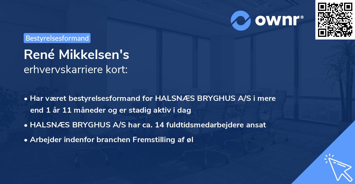 René Mikkelsen's erhvervskarriere kort
