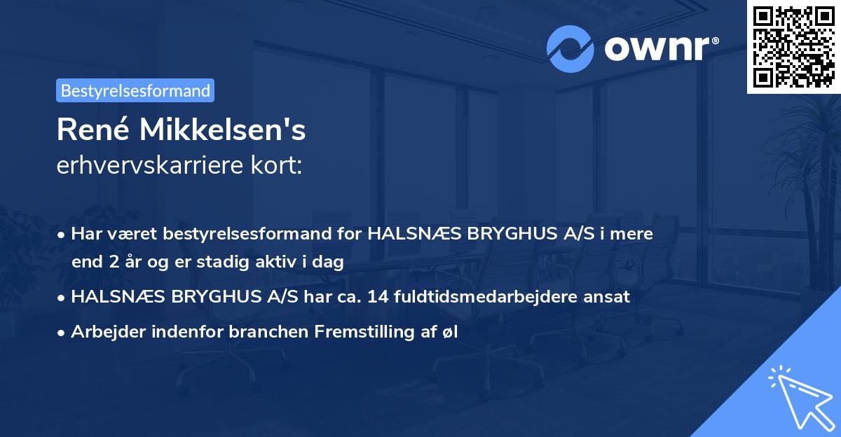 René Mikkelsen's erhvervskarriere kort