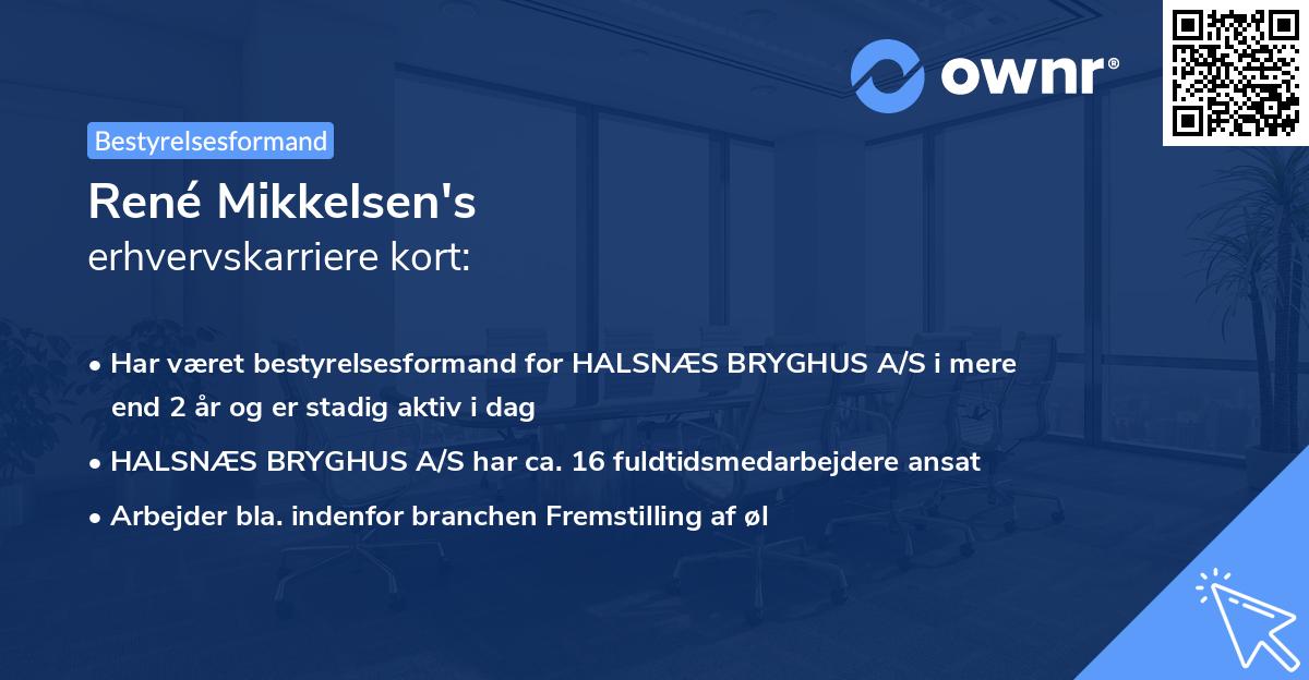 René Mikkelsen's erhvervskarriere kort