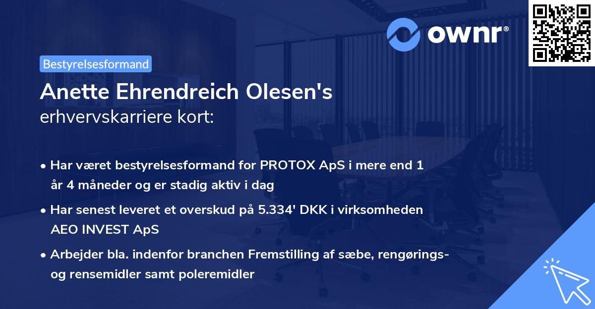Anette Ehrendreich Olesen's erhvervskarriere kort
