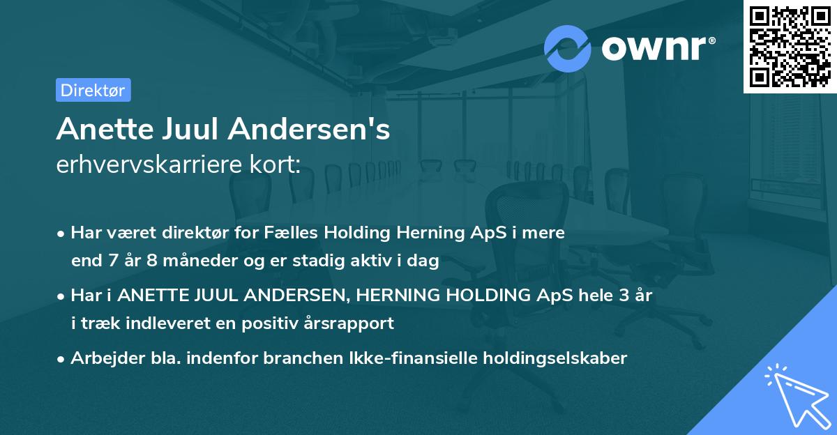 Anette Juul Andersen's erhvervskarriere kort