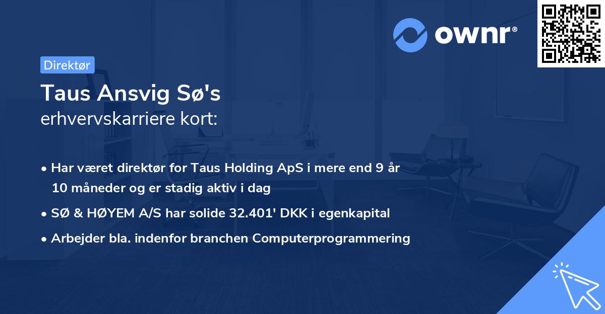 Taus Ansvig Sø's erhvervskarriere kort
