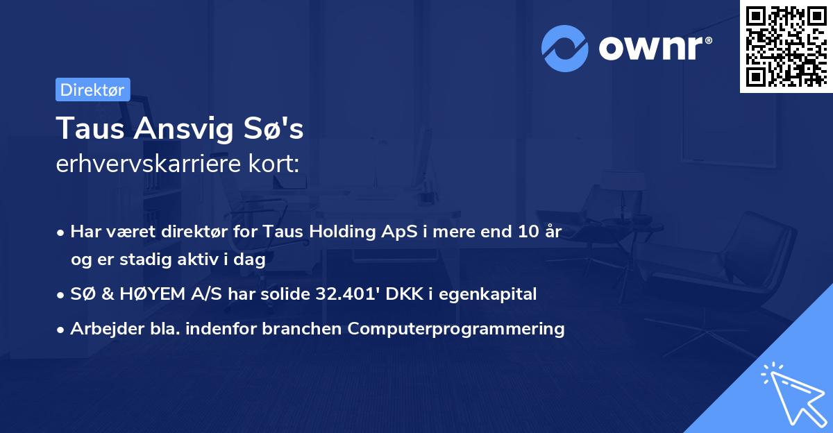 Taus Ansvig Sø's erhvervskarriere kort