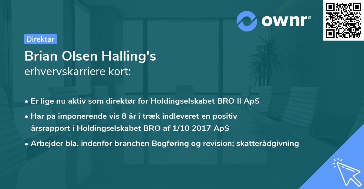 Brian Olsen Halling's erhvervskarriere kort