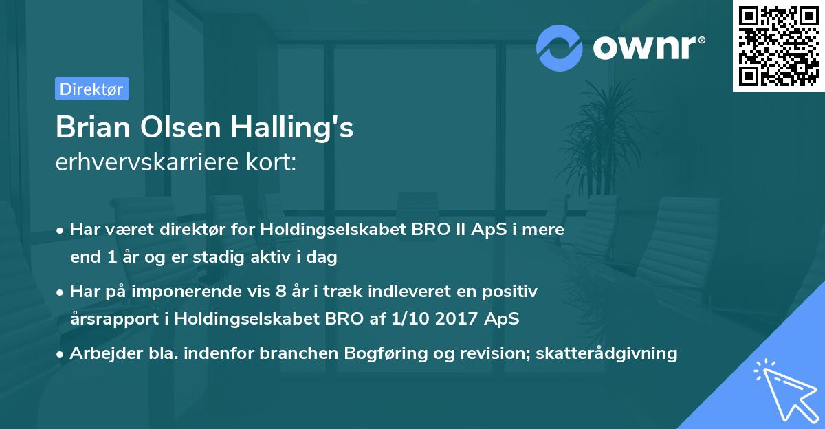 Brian Olsen Halling's erhvervskarriere kort