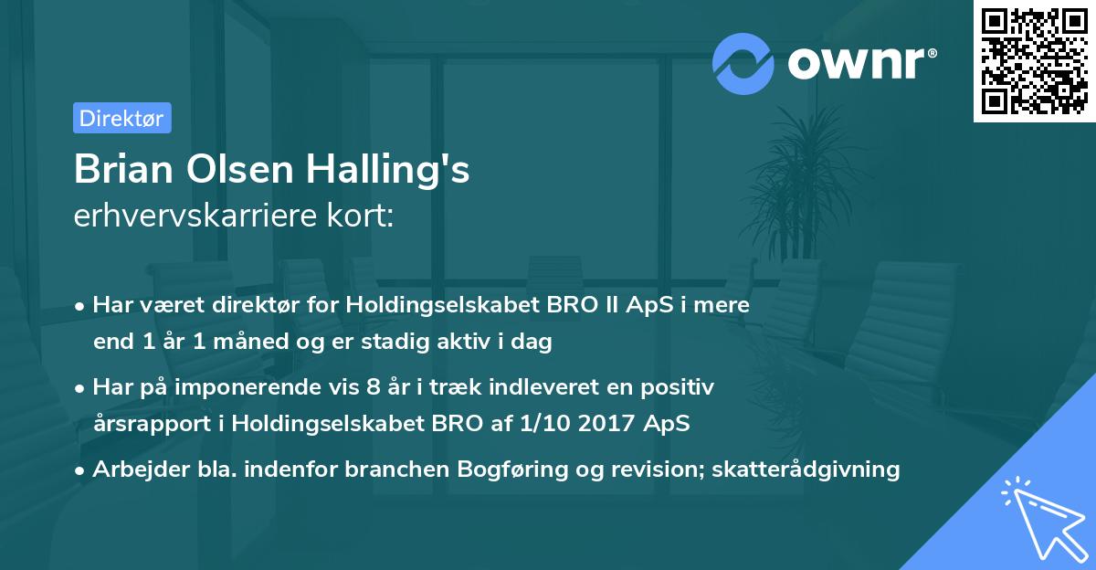 Brian Olsen Halling's erhvervskarriere kort