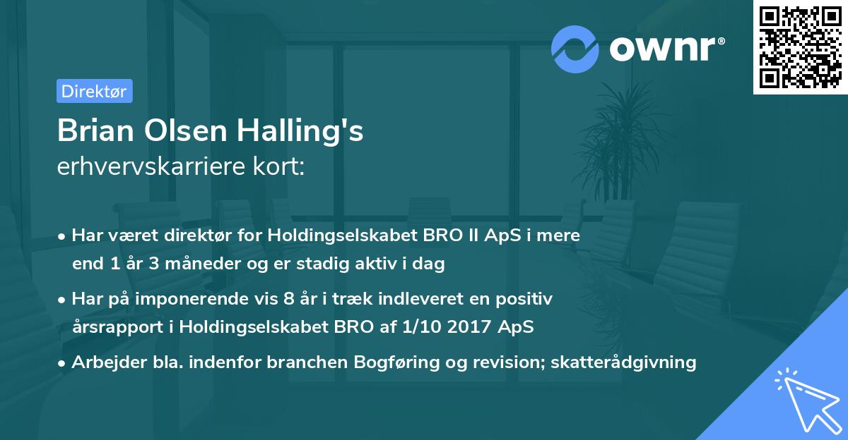 Brian Olsen Halling's erhvervskarriere kort