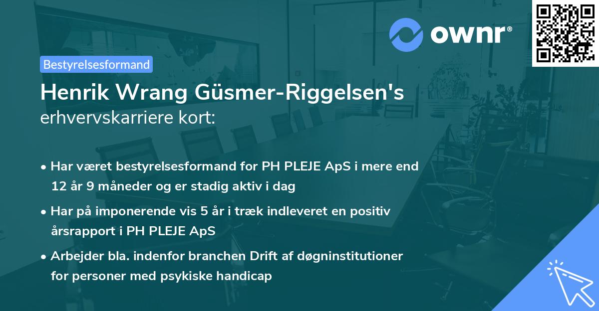 Henrik Wrang Güsmer-Riggelsen's erhvervskarriere kort