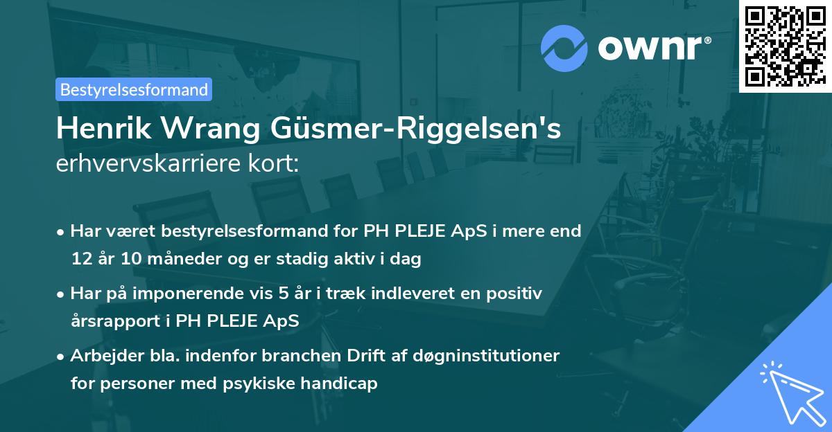 Henrik Wrang Güsmer-Riggelsen's erhvervskarriere kort