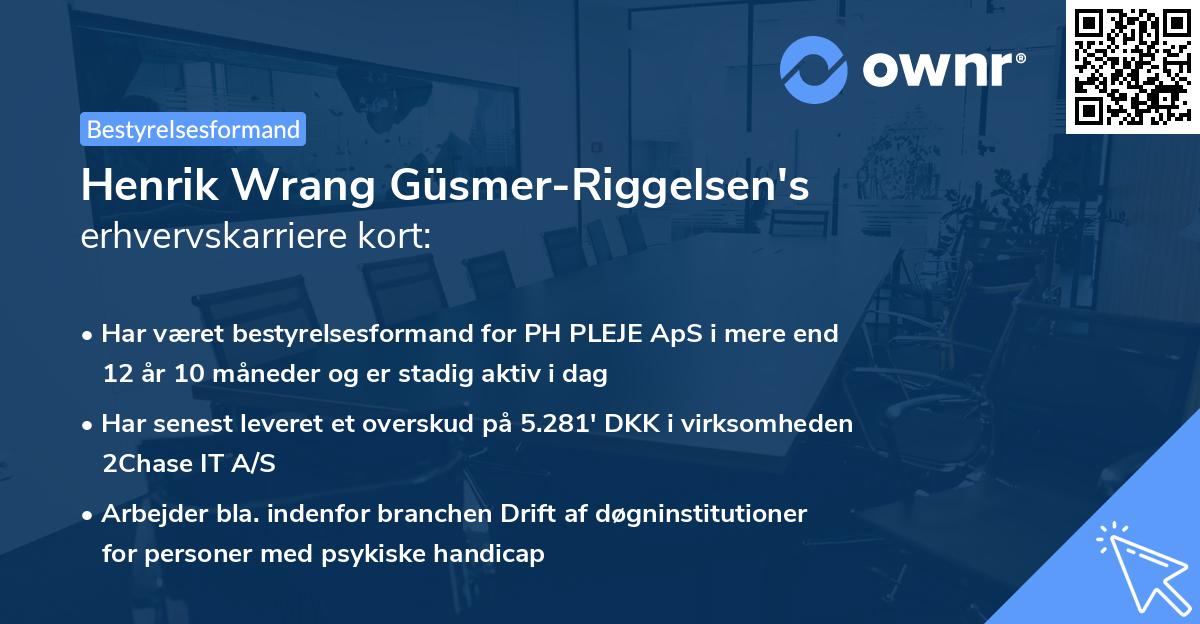 Henrik Wrang Güsmer-Riggelsen's erhvervskarriere kort