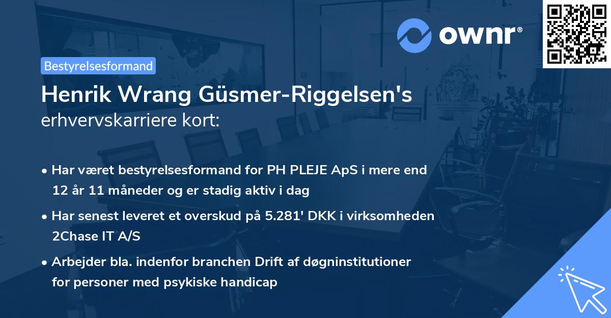Henrik Wrang Güsmer-Riggelsen's erhvervskarriere kort
