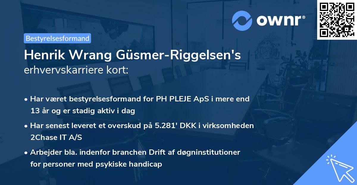 Henrik Wrang Güsmer-Riggelsen's erhvervskarriere kort