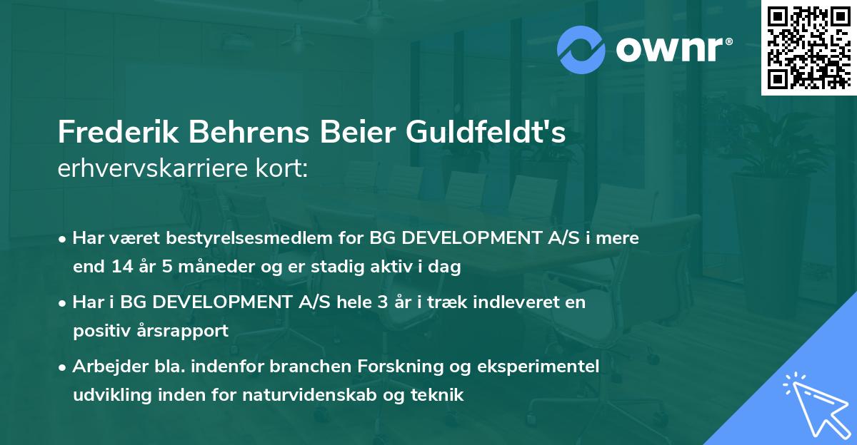 Frederik Behrens Beier Guldfeldt's erhvervskarriere kort