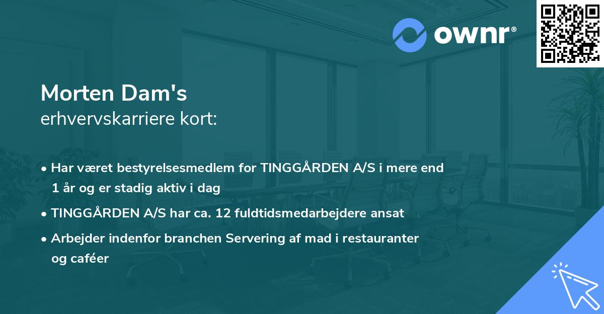 Morten Dam's erhvervskarriere kort