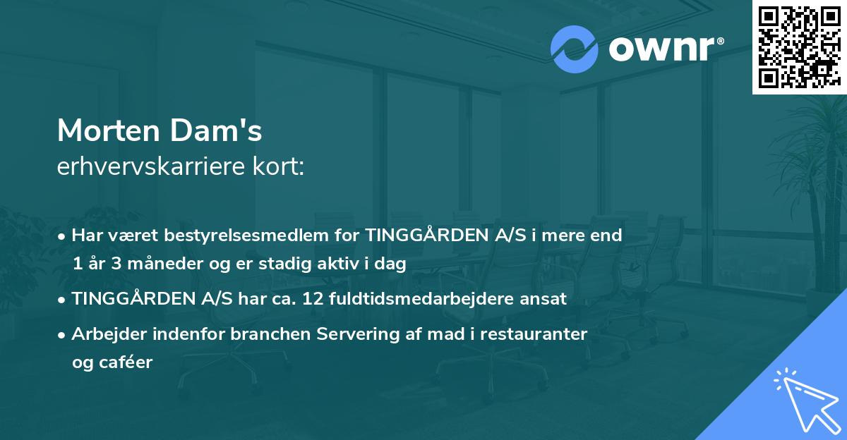 Morten Dam's erhvervskarriere kort