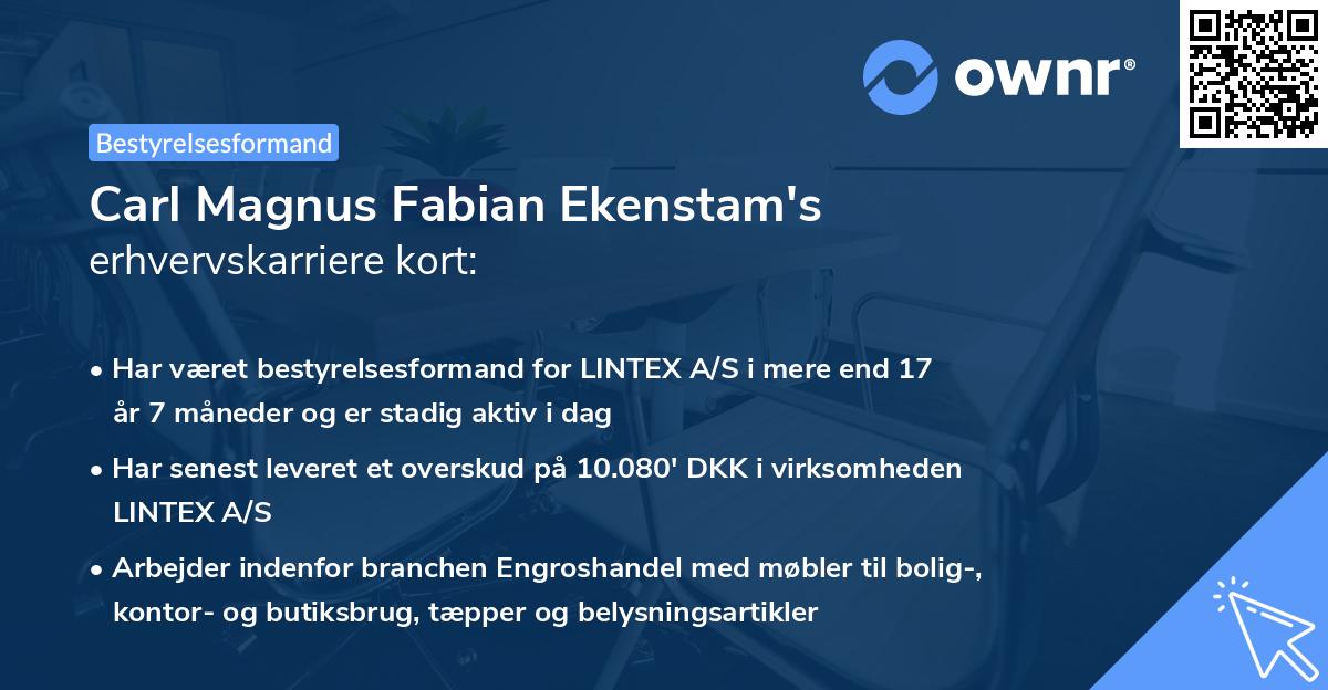 Carl Magnus Fabian Ekenstam's erhvervskarriere kort