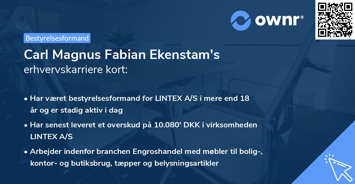 Carl Magnus Fabian Ekenstam's erhvervskarriere kort